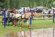14_IMG_0054