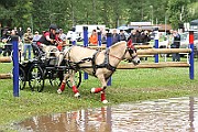 14_IMG_0055