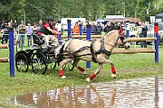 14_IMG_0056