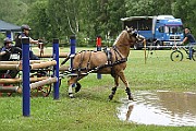 14_IMG_0081