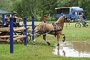 14_IMG_0082