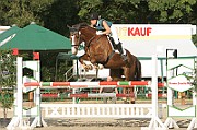 IMG_0049