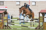 15_IMG_0081