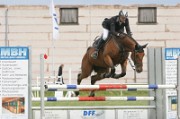 15_IMG_0088