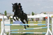 19_2_IMG_0051