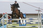 20_2_IMG_0036