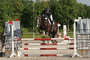 15_IMG_0006