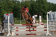 15_IMG_0008
