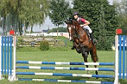 11_IMG_0006