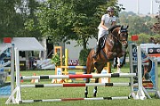 11_IMG_0019