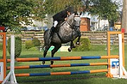 17_IMG_0013