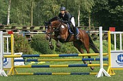 12_IMG_0016