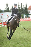 02_IMG_0006