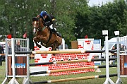 15_IMG_0017