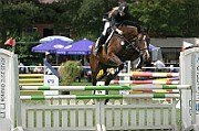08_1_IMG_0007