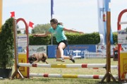 28_IMG_0006