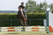 28_IMG_0013