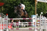 03_IMG_0016