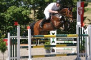 06_IMG_0031