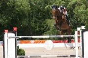 02_IMG_0016