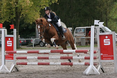17_IMG_0021