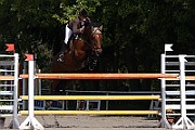 03_2_IMG_0020