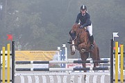 11_IMG_0006