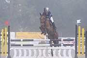 11_IMG_0017