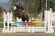IMG_0066
