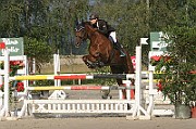 IMG_0011