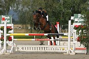 IMG_0035