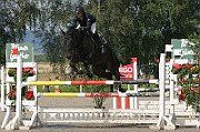 IMG_0041