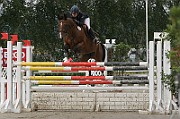 IMG_0009