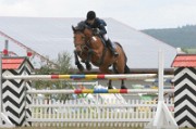 25_2_IMG_0041