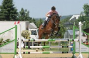 12_IMG_0050