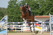 07_2_IMG_0025
