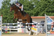 07_2_IMG_0050