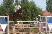 IMG_0037