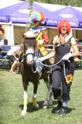 FZ_IMG_0010