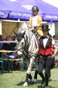 FZ_IMG_0031