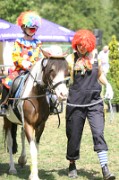FZ_IMG_0034