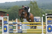 07_IMG_0007