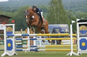 07_IMG_0008