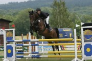 07_IMG_0029