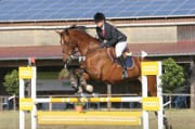 04_IMG_0030