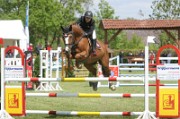 08_1_IMG_0016