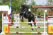 08_1_IMG_0025