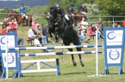 08_1_IMG_0026
