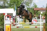 08_2_IMG_0009