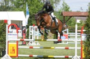08_2_IMG_0013